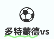 开云体育入口-关于多特蒙德主力中卫因伤缺阵，球队整体实力受损的信息