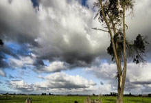 尤文图斯胜那不勒斯，积分大战开启，意甲格局巨变！