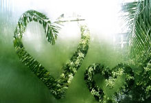 尤文图斯胜那不勒斯，积分大战开启，意甲格局巨变！