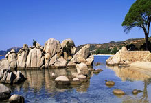 尤文图斯胜那不勒斯，积分大战开启，意甲格局巨变！