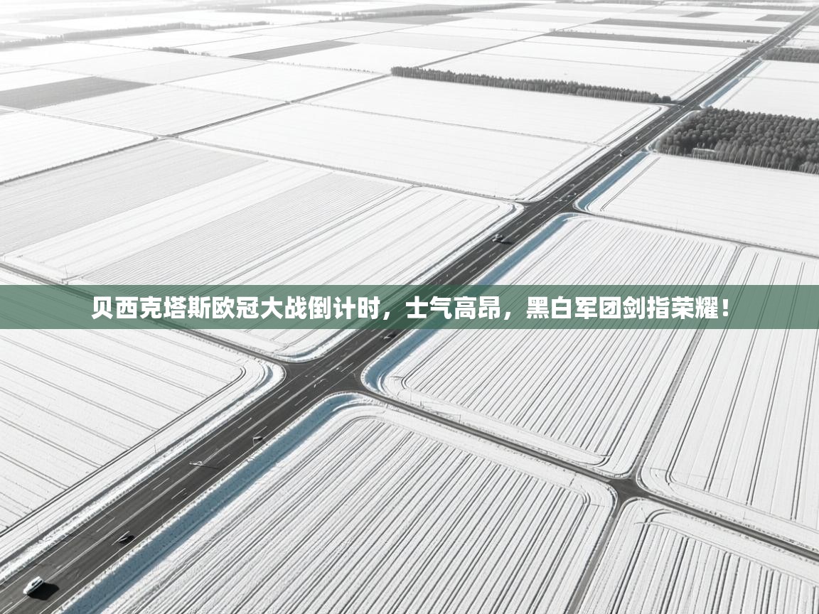 贝西克塔斯欧冠大战倒计时，士气高昂，黑白军团剑指荣耀！  第1张