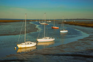 开云体育app注册-兴隆湖上演“国际艇战”，多国精英争锋