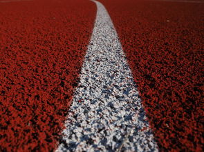 开云体育下载-田径项目专项训练成效显著，田径专项体能训练